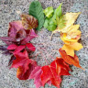 Meet your Posher, Lynnsey